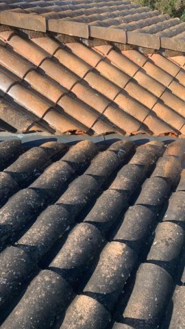 Travaux de démoussage sur les toits d'une copropriété de plus de 1 500 m² à Lectoure