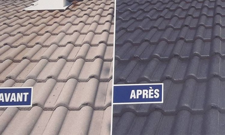 Travaux de peinture toiture - Auch - ETS Sud Nettoyage
