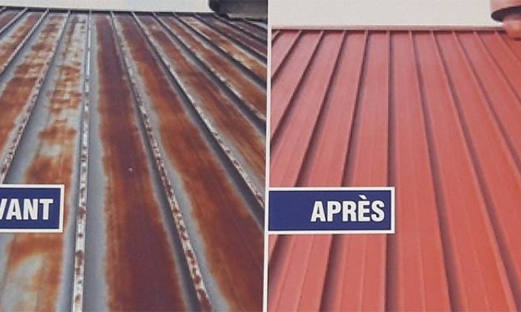 Travaux de peinture toiture - Auch - ETS Sud Nettoyage